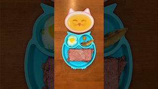 RAW Dinner for My 15 Year old Shih Tzu 🥩🐶🍳 shorts [upl. by Oirom]