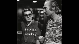 David Sylvian amp Holger Czukay  Flux A Big Bright Colourful World [upl. by Sibyls]