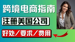 跨境电商注册美国公司的好处，特拉华 VS 内华达 VS 怀俄明，哪个州注册最好。开设一家美国公司的要求和费用，美國公司註冊教學 [upl. by Morton]