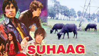 Ajay DevganAkshay Kumar full hindi movie  सुहाग  Suhaag spoof movie Suhaag dialogue comedy [upl. by Anaujat814]