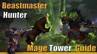 Fast amp Easy BM Hunter Mage Tower Guide  Feltotems Fall DPS Challenge Dragonflight [upl. by Adham]