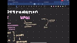 Metastasis Pt 3  Matrix Degradation [upl. by Schuman254]