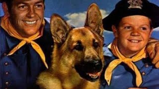 Rin Tin Tin 1954 Il Puma Assassino [upl. by Fiske]