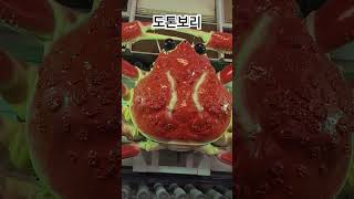 도톤보리 먹거리 Dotonbori Food Sightseeing Travel Kyoto Osaka 교토 오사카 [upl. by Hsirrehc493]