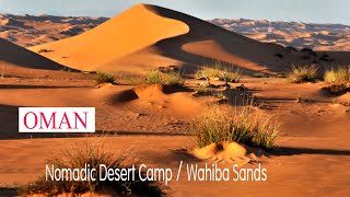 Nomadic Desert Camp Wahiba Sands Camel Trekking  2014  OMAN [upl. by Lekzehcey]