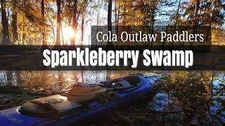 Cola Outlaw Paddlers  Sparkleberry Swamp [upl. by Annasiul]