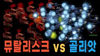 스타크래프트 실험 뮤탈리스크 vs 골리앗 [upl. by Eicyak]