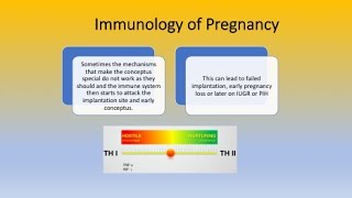 Immunology of Pregnancy [upl. by Nede]