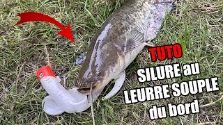 Tuto PÊCHE du SILURE au LEURRE SOUPLE du BORD [upl. by Daenis]