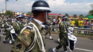 EJÉRCITO DE COLOMBIA 20 de Julio 2017 Cali  Colombia [upl. by Llenral]