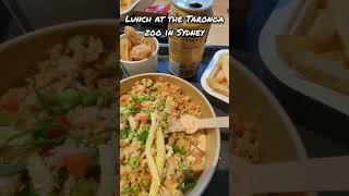 Lunch at the Taronga Zoo travel food australia yummy tasty viralvideo viralshorts [upl. by Cheney296]