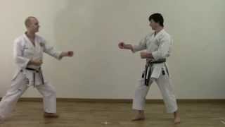 Heian Sandan  Shotokan Kata Bunkai [upl. by Sivatnod]