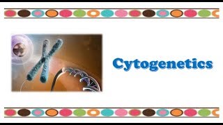 Molecular Biology 🔤  Cytogenetics [upl. by Shinberg]