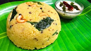 Thinai Pongal Recipe in tamil  Thinai recipes  Foxtail millet pongal in tamil [upl. by Itch]