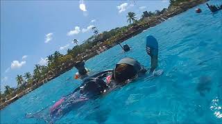 CHANKANAAB NATIONAL PARK SNORKELING EXCURSION COZUMEL MEXICO [upl. by Schram937]