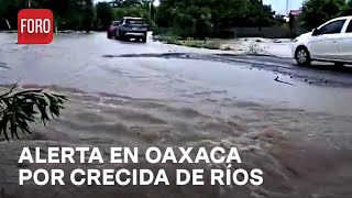 Ríos de Oaxaca en alerta de desbordamiento tras lluvias  Las Noticias [upl. by Margi328]