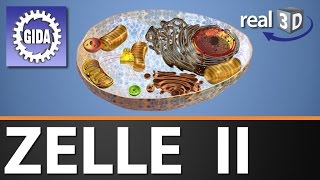 Trailer  Zelle II  Biologie  3D Software [upl. by Brout759]