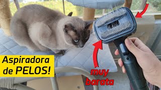 La MEJOR ASPIRADORA para PELOS de MASCOTAS 🐱🐶 muy barata  Conga Rockstar DeepClean Animal [upl. by Eikcir]