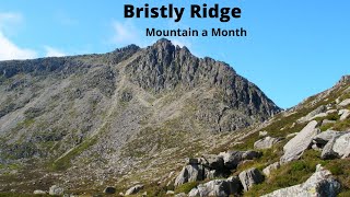 Bristly Ridge via sinister gully [upl. by Martita257]