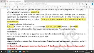 unité 1  chapitre 1 la glycolyse et le devenir de lacide pyruvique dans la mitochondrie [upl. by Ardek]