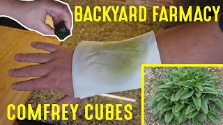 Making Fast Healing quotComfrey Cubesquot  Backyard Farmacy Plants That Work Wonders [upl. by Allecnirp]