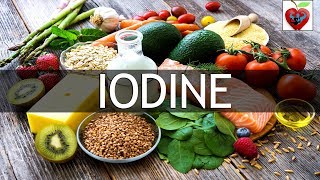 Top 10 Foods High In Iodine  Health Tips Daily Life [upl. by Aeiram]