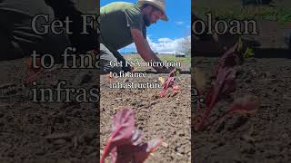 How to start a farm farming vegetables income passion gardening business entrepeneur [upl. by Ekusuy]