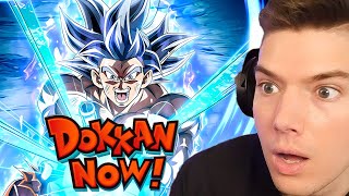 Global Exclusive 9th Anniversary Dokkan Now Reaction [upl. by Annahc]