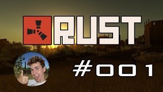 RUST 001  Pros am Werk Das kann nur was werden Deutsch  HD  Lets Play [upl. by Dlorrej816]