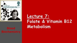 Blood Biochemistry  Folate and Vitamin B12 Metabolism [upl. by Asyl128]