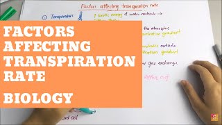 Biology  Factors affecting Transpiration Rate [upl. by Vance]