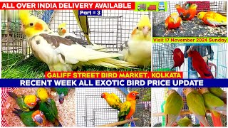 Recent Week All Exotic Bird Price Update  Galiff Street Pet Market 17112024 Chepset Bird Market [upl. by Duester]