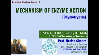 Mechanism of Enzyme Action Chymotrypsin  Prepare for GATE JAM NET [upl. by Naed]