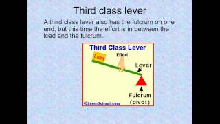 types of levers [upl. by Warchaw]