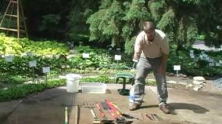 Digging and Dividing Hostas Part 1 Garden Tools [upl. by Esahc858]