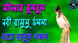 Modinar BulBul Nobi Rasululla  New Alokbarta Shilpi Gosthi Gojol  New Islamic Song 2018 [upl. by Ki]