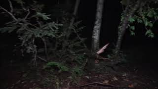 Aokigahara Second Ghost hunt volume boosted 36db [upl. by Balcer]