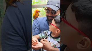 The Pet sanctuary👌👌👌 petsanctuary pets animals birds ytshorts bengaluru [upl. by Sidman]