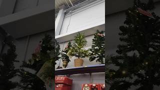 🎄Lil trees xmas ornament tree decoration walmart christmas shorts shortsfeed trend viral [upl. by Leoj]