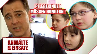 Pflegefamilie lässt KINDER HUNGERN 🥣​❌​ Schlimme Zustände  😡​  22  Anwälte im Einsatz  SAT1 [upl. by Reffotsirhc]