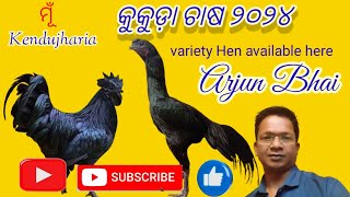 କୁକୁଡ଼ା ଚାଷ ୨୦୨୪ ll Hen Farming odiya 2024 [upl. by Noremac]