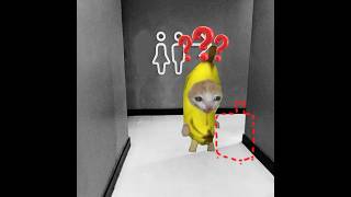 BANANA CAT🍌😺 SUITCASE WAS STOLEN bananacat catmemes catvideos [upl. by Ocimad]