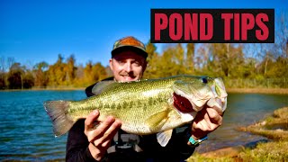 Winter pond Fishing Tips CRAZY [upl. by Leddy]