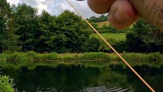 First fish of the day at Blakewell Trout Fishery [upl. by Anirehs486]