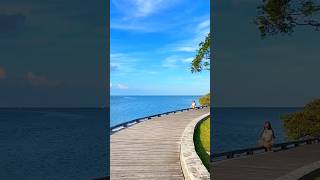 Seaside Stroll A Journey Along Biscayne’s Boardwalk  Biscayne National Park [upl. by Atiuqiram679]