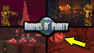 Minecraft Biomes O’ Plenty NETHER BIOMES FULL GUIDE  All Nether Biomes Biomes O’ Plenty [upl. by Walls]