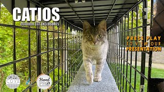 Catio Outdoor Cat Cage Enclosure Systems [upl. by Jess]