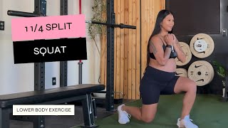 1 14 Split Squat [upl. by Morten]