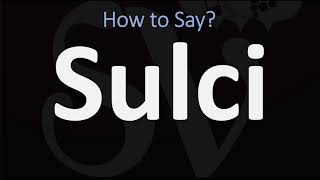 How to Pronounce Sulci CORRECTLY [upl. by Irahk]