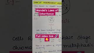 Mendels Laws of Inheritance shorts youtubeshorts shortvideo biobookie inheritance alleles [upl. by Adanama]